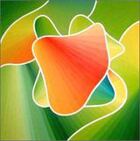 ORANGE IN GREEN
